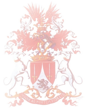 Site en construction